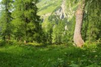 2015-07-04_2Sonnjoch (445).JPG